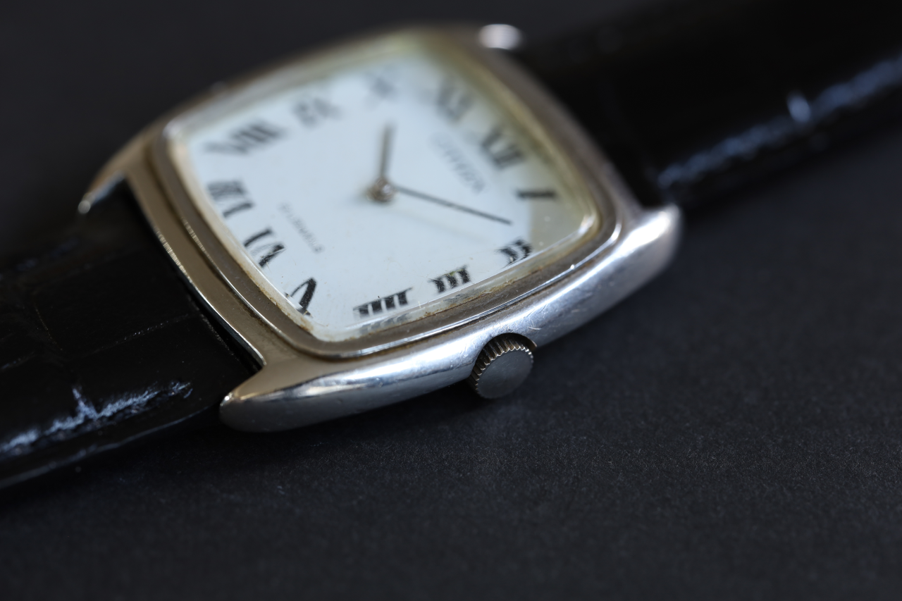 CITIZEN 60's CITIZEN