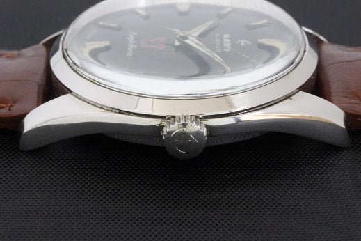 RADO(ラドー) 60's Pulple Horse Cal.1704