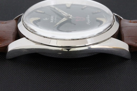 RADO(ラドー) 60's Pulple Horse Cal.1704
