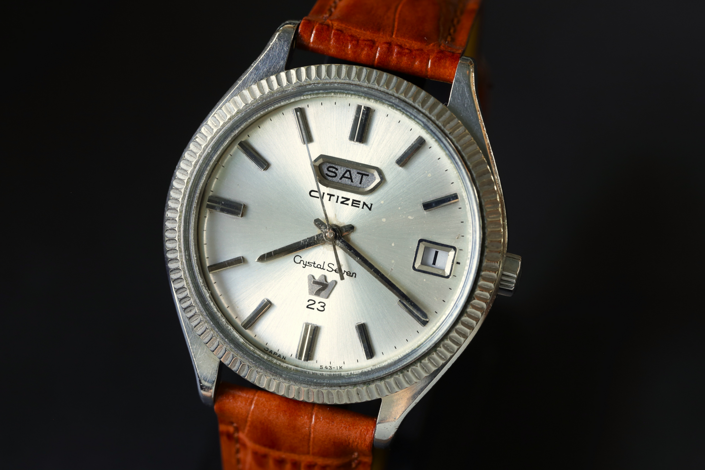 1001のバイオリン　シチズン、ディーゼル Birch in danger!?] The focus is on 