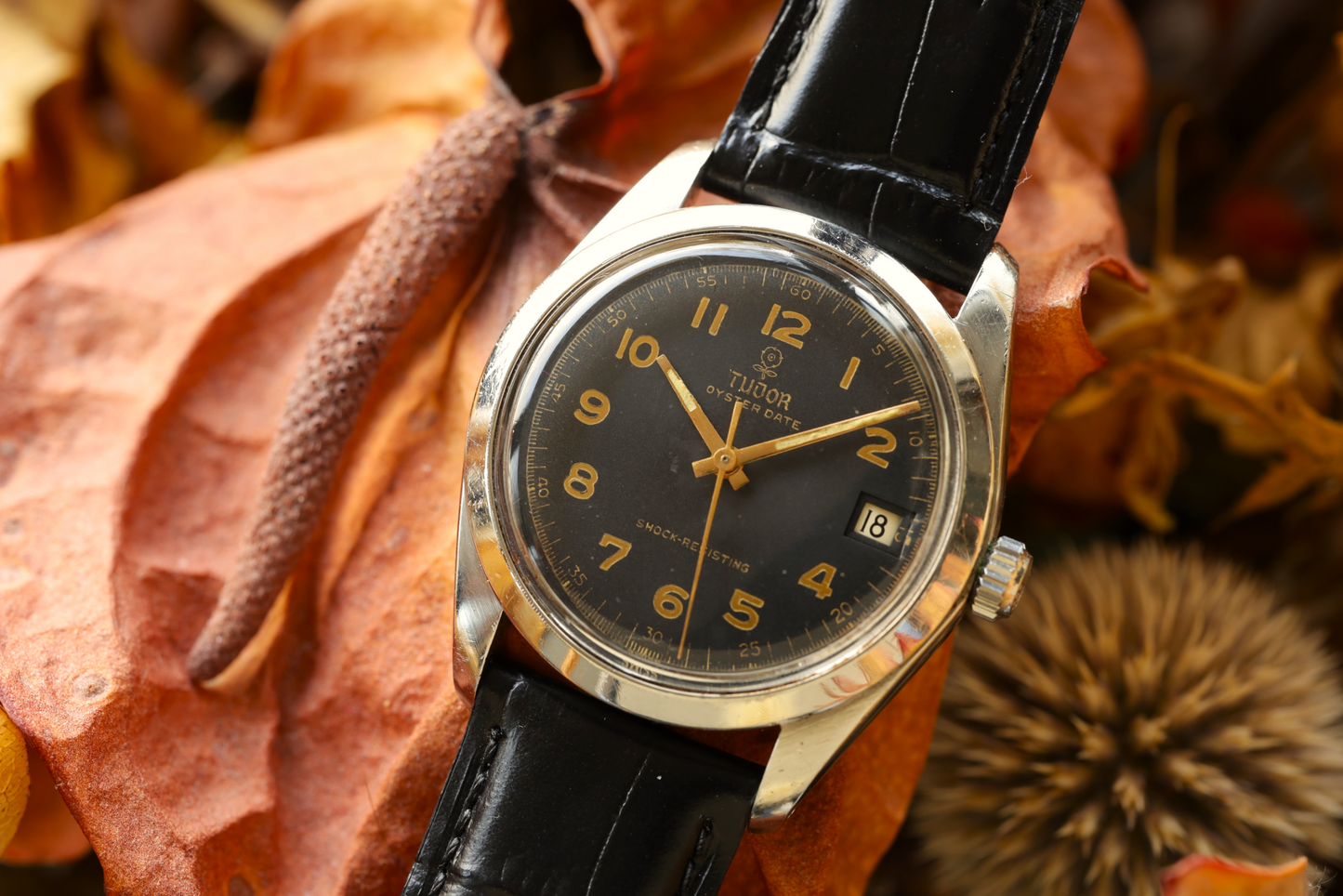 TUDOR(チューダー) 　50's  / OYSTER DATE（オイスターデイト） / Cal.2423