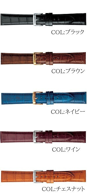 OMEGA(オメガ) 〜60's Seamaster COSMIC〜